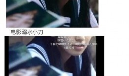 娱乐圈吃瓜攻略